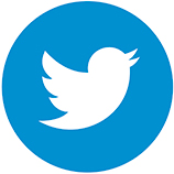 Logo Twitter